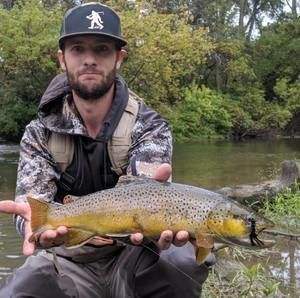 Meet your Posher, Ryan